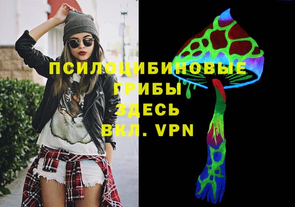 ГАЛЛЮЦИНОГЕННЫЕ ГРИБЫ Абинск